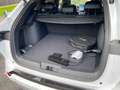BYD Seal U DM-i PHEV 18,3kWh Boost Österreich Paket Weiß - thumbnail 28
