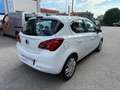 Opel Corsa 1.2 5 porte ok neopatentati Weiß - thumbnail 4
