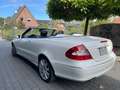 Mercedes-Benz CLK 350 CLK Cabrio 350 7G-TRONIC Avant. 19% auswb. Weiß - thumbnail 3