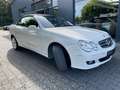 Mercedes-Benz CLK 350 CLK Cabrio 350 7G-TRONIC Avant. 19% auswb. Weiß - thumbnail 5