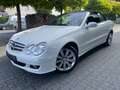 Mercedes-Benz CLK 350 CLK Cabrio 350 7G-TRONIC Avant. 19% auswb. Weiß - thumbnail 6