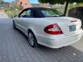 Mercedes-Benz CLK 350 CLK Cabrio 350 7G-TRONIC Avant. 19% auswb. Weiß - thumbnail 8