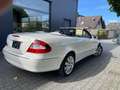 Mercedes-Benz CLK 350 CLK Cabrio 350 7G-TRONIC Avant. 19% auswb. Weiß - thumbnail 4
