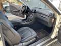 Mercedes-Benz CLK 350 CLK Cabrio 350 7G-TRONIC Avant. 19% auswb. Weiß - thumbnail 14