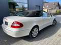 Mercedes-Benz CLK 350 CLK Cabrio 350 7G-TRONIC Avant. 19% auswb. Weiß - thumbnail 7