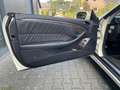 Mercedes-Benz CLK 350 CLK Cabrio 350 7G-TRONIC Avant. 19% auswb. Weiß - thumbnail 11