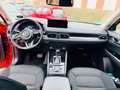 Mazda CX-5 Ad'vantage 2WD+Werksgarantie noch Rouge - thumbnail 14