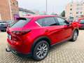 Mazda CX-5 Ad'vantage 2WD+Werksgarantie noch Rouge - thumbnail 6