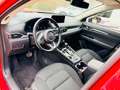 Mazda CX-5 Ad'vantage 2WD+Werksgarantie noch Rouge - thumbnail 12