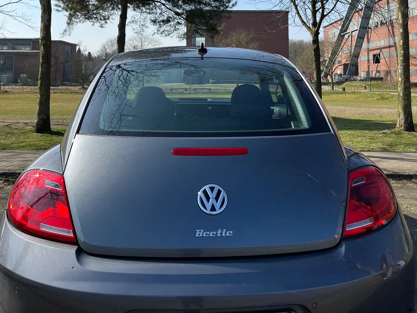 Volkswagen Beetle Grau - 2