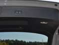 Audi RS4 RS4 Avant 2,9 TFSI Tiptronic quattro MATRIX VIRT Grau - thumbnail 21