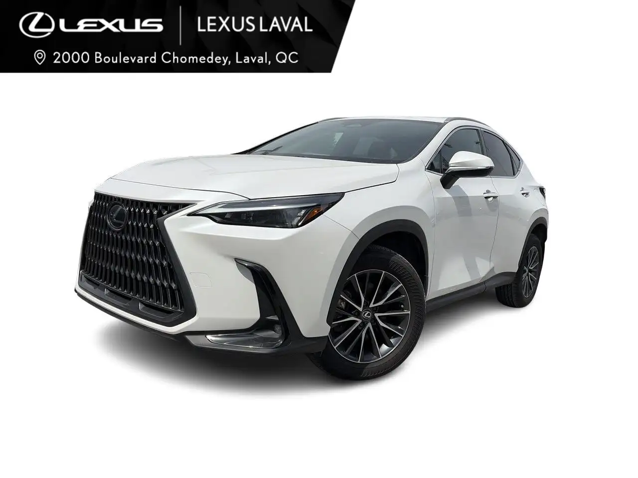 2024 Lexus NX