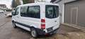 Mercedes-Benz Sprinter II Kombi 316 CDI Klima 8 Sitze AHK L1H1 Blanco - thumbnail 4