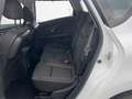 Renault Scenic IV Weiß - thumbnail 12