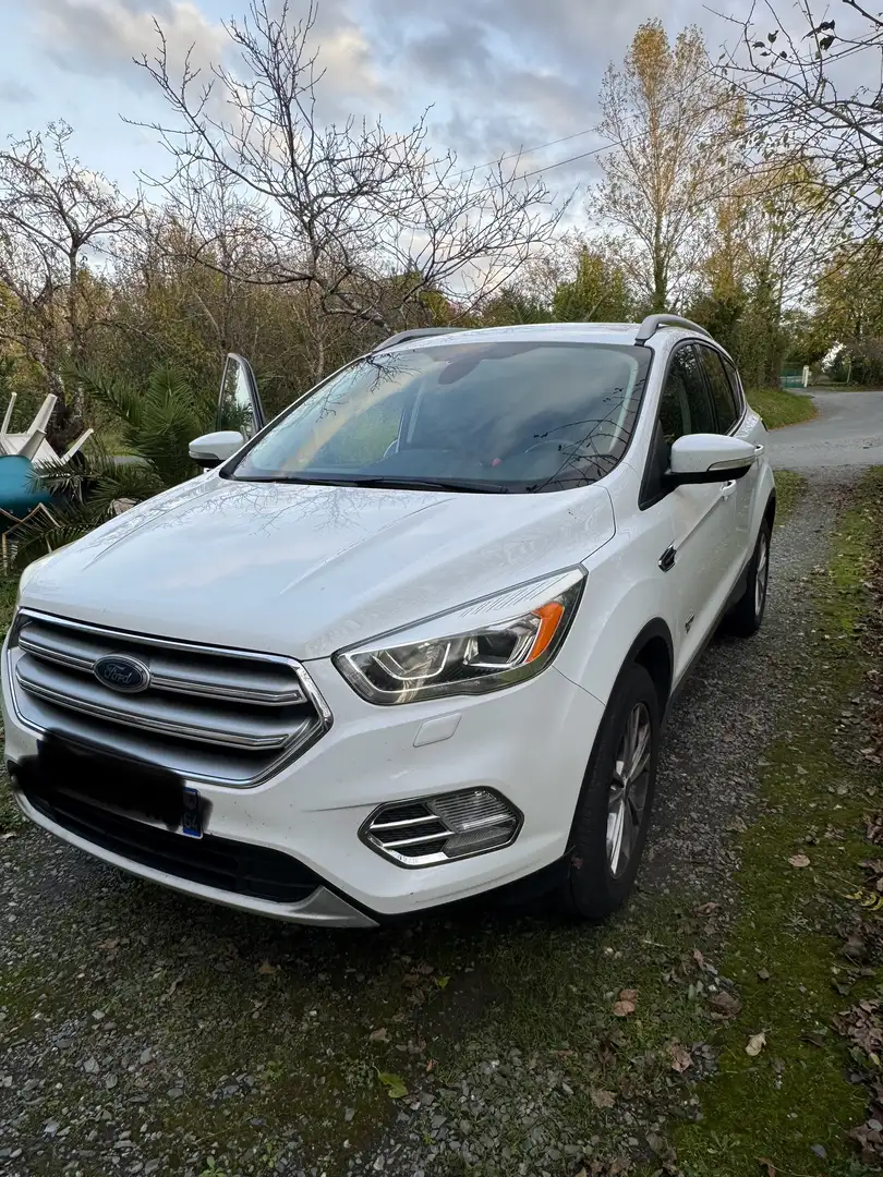 Ford Kuga Kuga 2.0 TDCi 150 S Blanc - 2