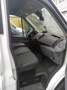 Ford Transit Transit 350 TDCi 350 L4 H3 HA MH Trend Weiß - thumbnail 6