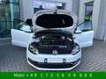 Volkswagen Polo V 1,4 TDI Highline BMT Standh. LED Navi Weiß - thumbnail 17