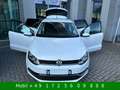 Volkswagen Polo V 1,4 TDI Highline BMT Standh. LED Navi Weiß - thumbnail 10