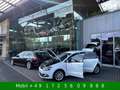 Volkswagen Polo V 1,4 TDI Highline BMT Standh. LED Navi Weiß - thumbnail 13