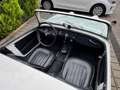 Austin-Healey Sprite MK1 "Frogeye" Linkslenker Blanc - thumbnail 6