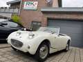 Austin-Healey Sprite MK1 "Frogeye" Linkslenker Blanc - thumbnail 2
