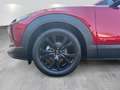Mazda CX-30 2.5L e-SKYACTIV G 140ps Rot - thumbnail 9