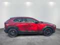 Mazda CX-30 2.5L e-SKYACTIV G 140ps Rot - thumbnail 5
