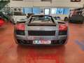Lamborghini Gallardo Gallardo S.E. special edition 520 e-gear A.S.I. Grigio - thumbnail 5