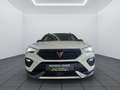 CUPRA Ateca VZ 4Drive *PANO*LED*360Kamera* Weiß - thumbnail 9