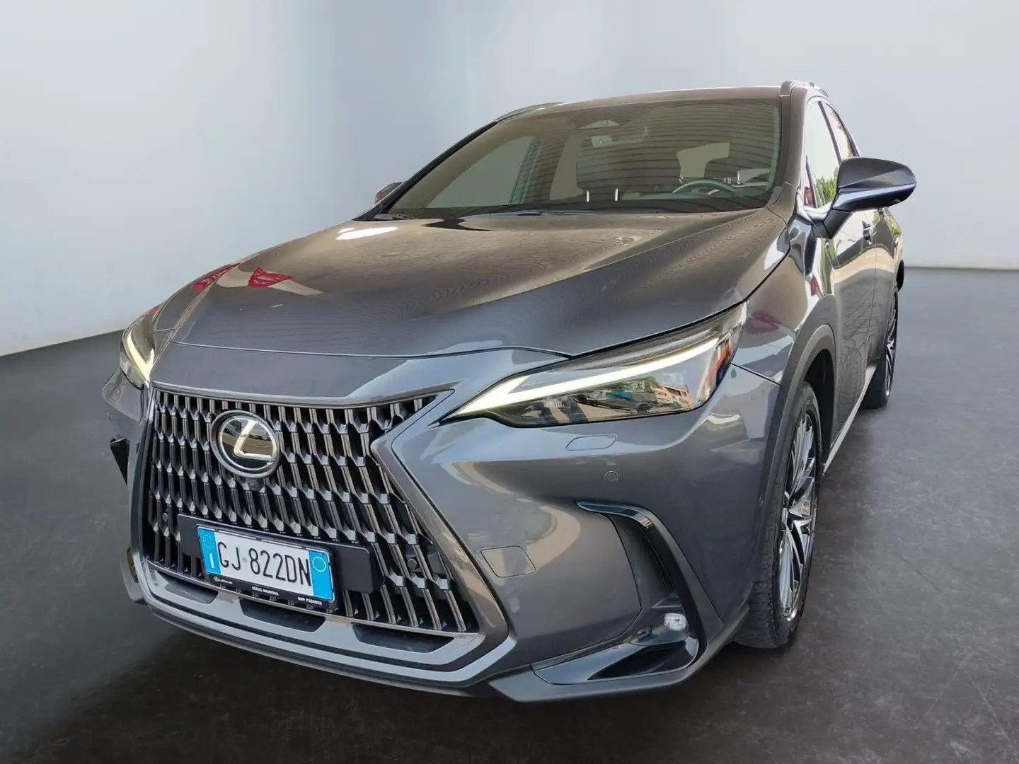 Lexus NX 300 Plug-in 4WD Luxury - 1