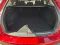Mazda 6 SKYACTIV-G 165 FWD 6MT SPORTS Rouge - thumbnail 10
