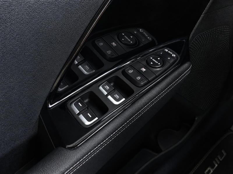 Kia e-Niro DynamicPlusLine 39 kWh |Open dak|NAP| — photo 19