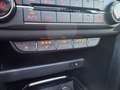 Kia Ceed / cee'd ceed 1,4 TGDI GPF Platin DCT Aut. VOLL VOLL VOLL Blau - thumbnail 32