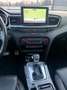 Kia Ceed / cee'd ceed 1,4 TGDI GPF Platin DCT Aut.  !!! VIGNETTE... Blau - thumbnail 17