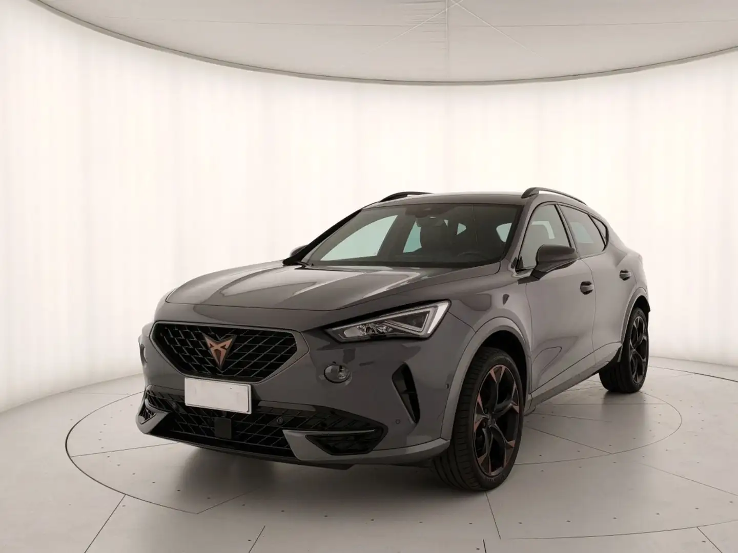 CUPRA Formentor 1.5 tsi 150cv dsg Gris - 1