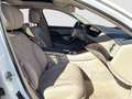 Mercedes-Benz S 560 4M L AMG Line Designo Firstclass TV Kühlbox Weiß - thumbnail 13