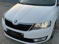 Skoda Rapid/Spaceback Rapid Spaceback 1,4 TSI Elegance Green tec DSG Weiß - thumbnail 11