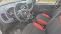Fiat Panda III 1.2 69 Ligue 1 Conforama Blanc - thumbnail 8