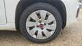 Fiat Panda III 1.2 69 Ligue 1 Conforama Blanc - thumbnail 17