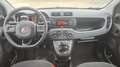 Fiat Panda III 1.2 69 Ligue 1 Conforama Blanc - thumbnail 11