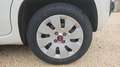 Fiat Panda III 1.2 69 Ligue 1 Conforama Blanc - thumbnail 19