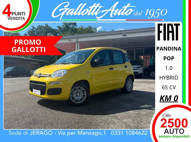 Fiat Panda 1.0 firefly hybrid Pop s&s 65cv - PRMO GALLOTTI