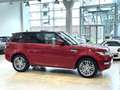 Land Rover Range Rover Sport 3.0 TDV6 HSE Dynamic 249cv -21" -Tetto-Sedili Vent Rojo - thumbnail 5