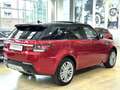Land Rover Range Rover Sport 3.0 TDV6 HSE Dynamic 249cv -21" -Tetto-Sedili Vent Rojo - thumbnail 4