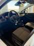 Renault Clio 1.5 dci Evolution 100cv Weiß - thumbnail 10