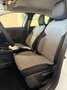 Renault Clio 1.5 dci Evolution 100cv Weiß - thumbnail 11