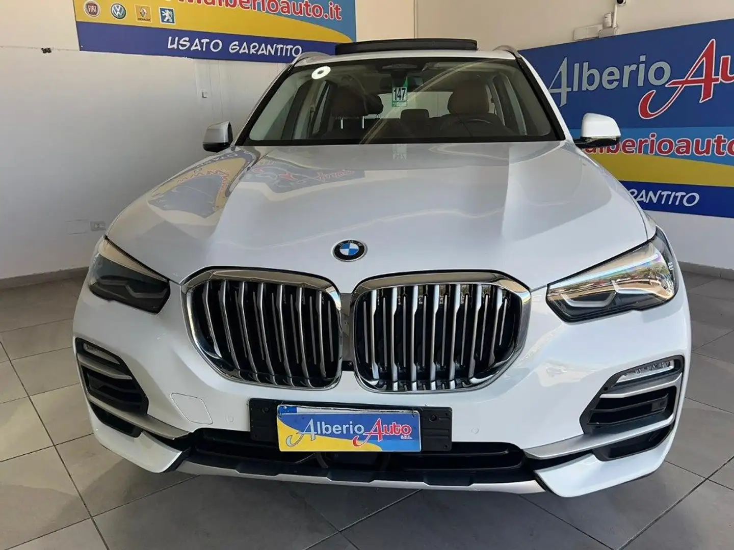 BMW X5 xDrive30d xLine + TETTO *OFFERTA DEL MESE* 12/2018 Bianco - 2