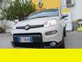 Fiat Panda - thumbnail 2