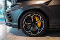Lamborghini Urus Urus 4.0 V8 auto Grau - thumbnail 10