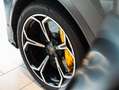 Lamborghini Urus Urus 4.0 V8 auto Grau - thumbnail 14